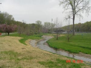 Streambanks recently restored by pulling banks back, arming toe with riprap, and planting vegation