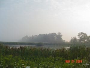 wetland-300x225